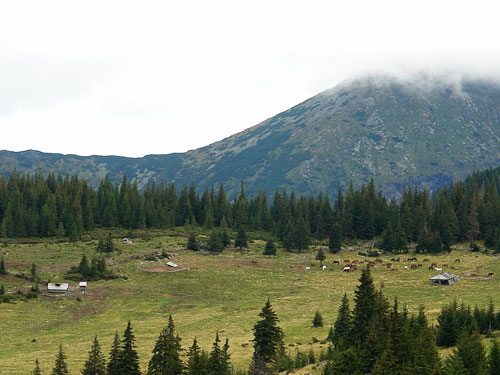 Foto Fata Pietrosului si Culmea Batrana (c) Petru Goja